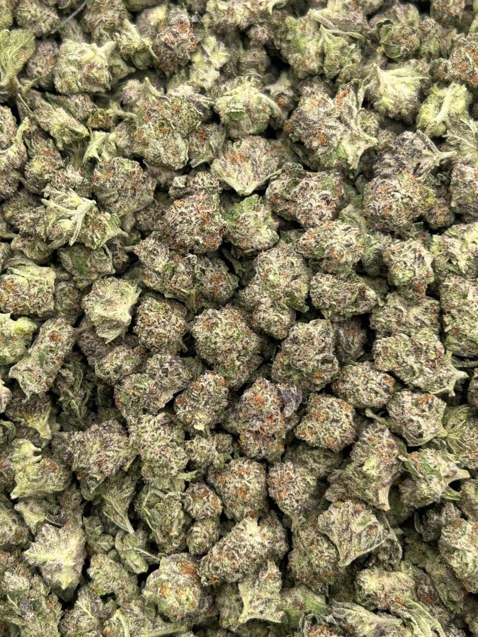 Strawberry Daiquiri — gallery photo 2 of flower from Real Duck Distro