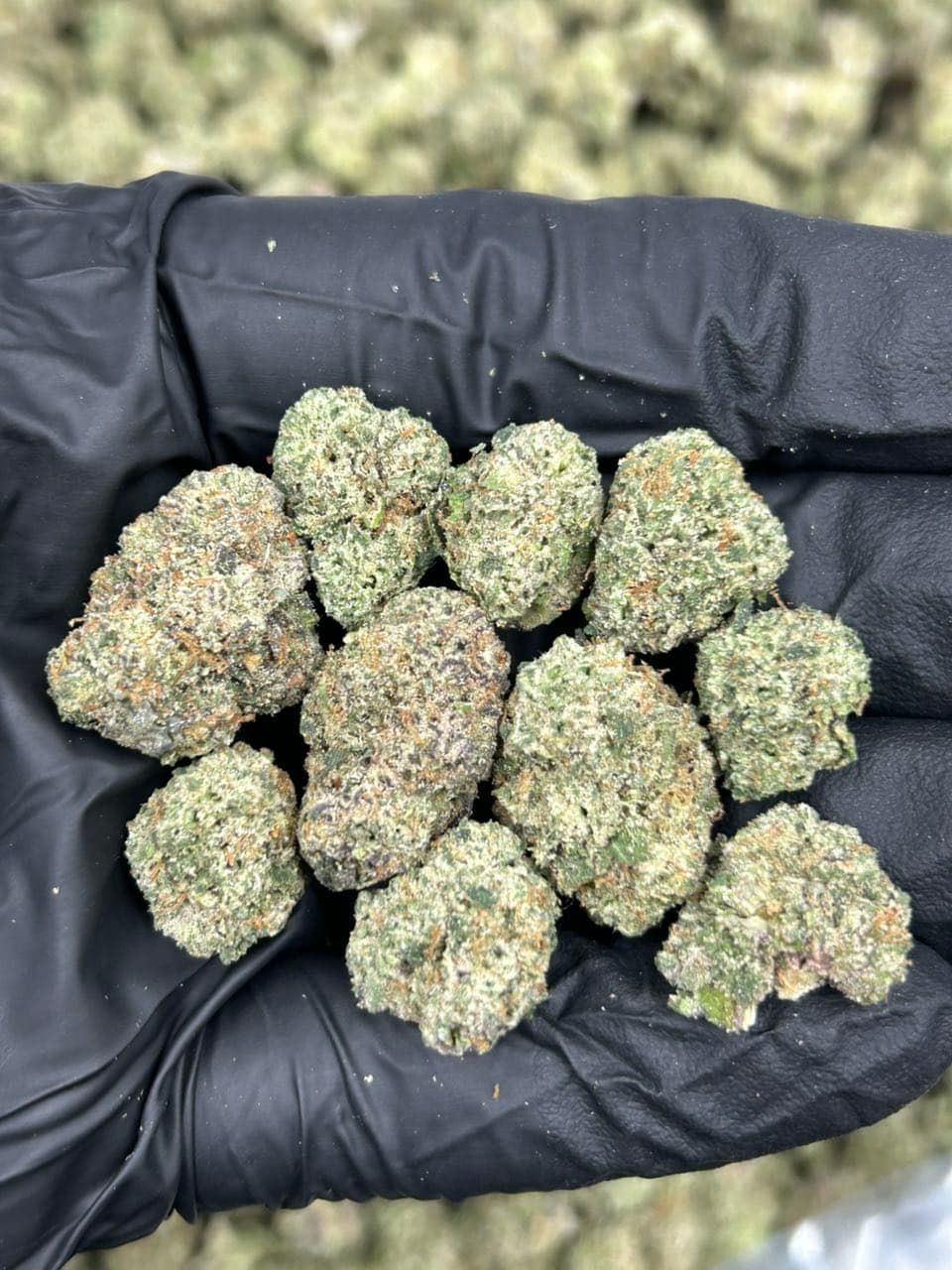 Rooney runtz — premium flower from Real Duck Distro Los Angeles, buy online with nationwide cannabis shipping