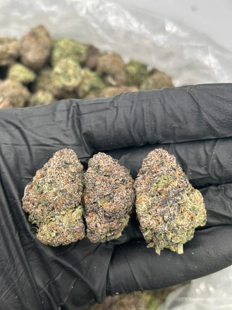 Candy clouds — premium flower from Real Duck Distro Los Angeles, buy online with nationwide cannabis shipping