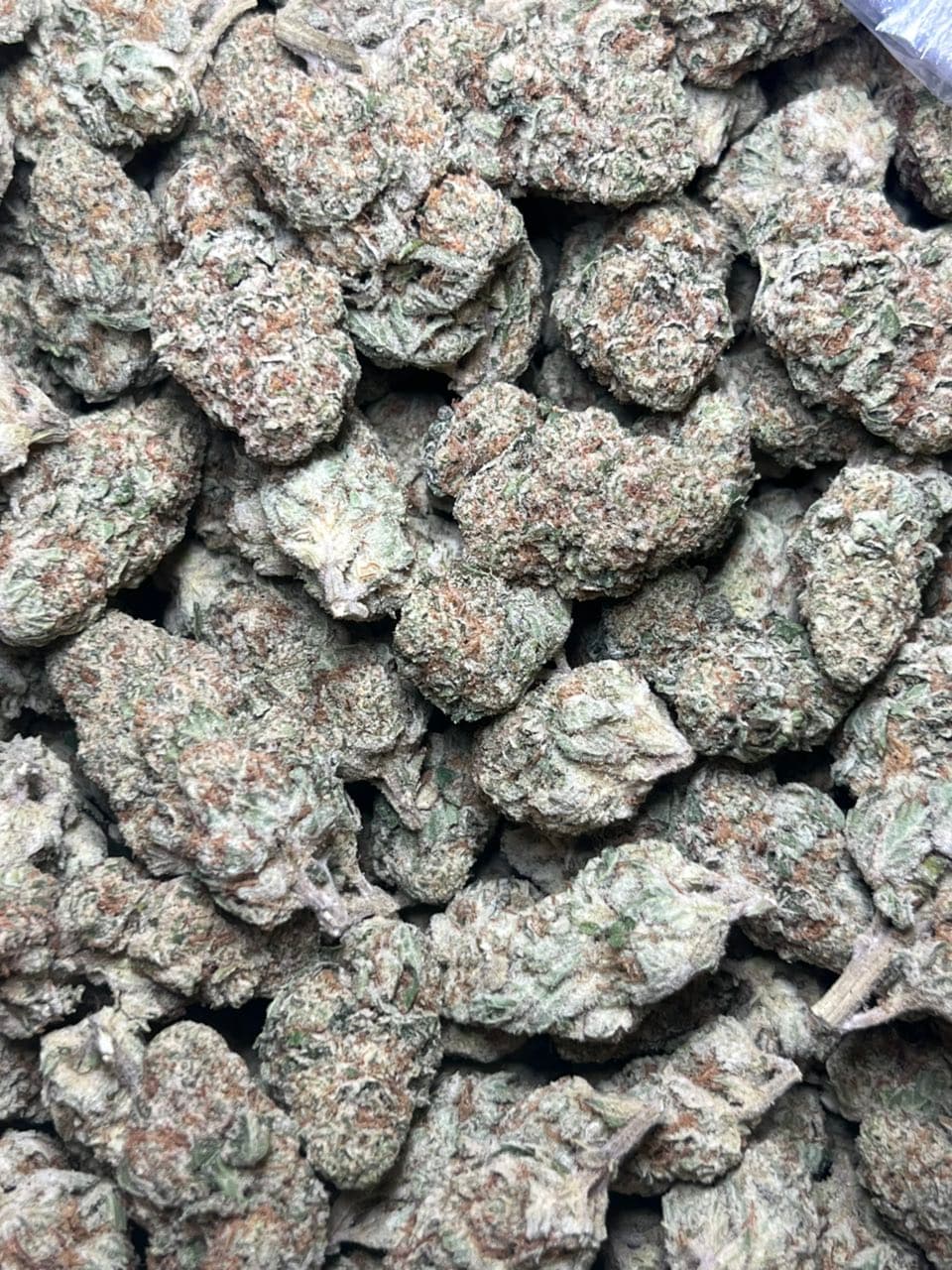 Sour mango — gallery photo 2 of flower from Real Duck Distro