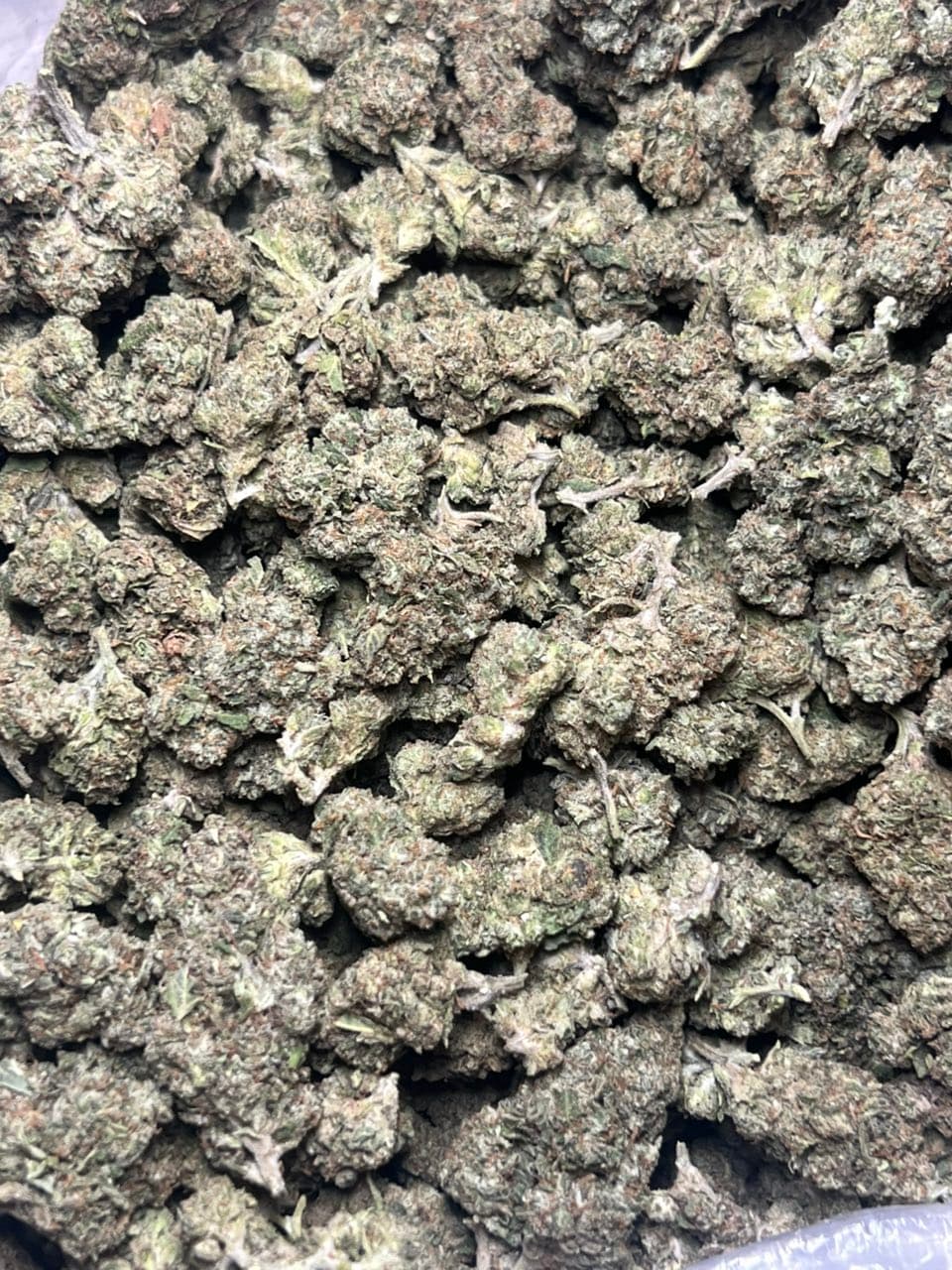 GMO MIXED LIGHTS — gallery photo 2 of flower from Real Duck Distro