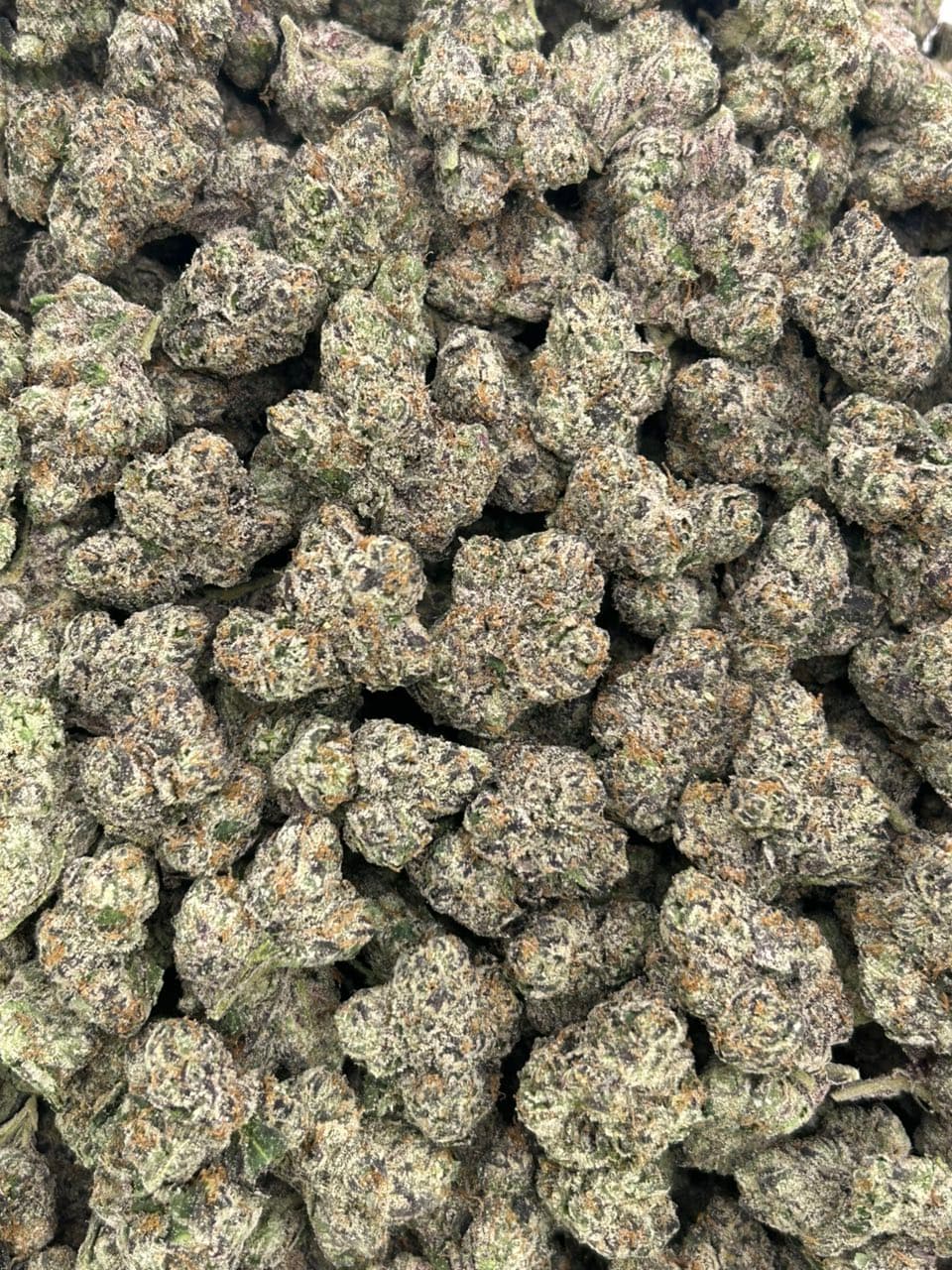 Laffy Taffy Runtz 🍭🍬 — gallery photo 2 of flower from Real Duck Distro
