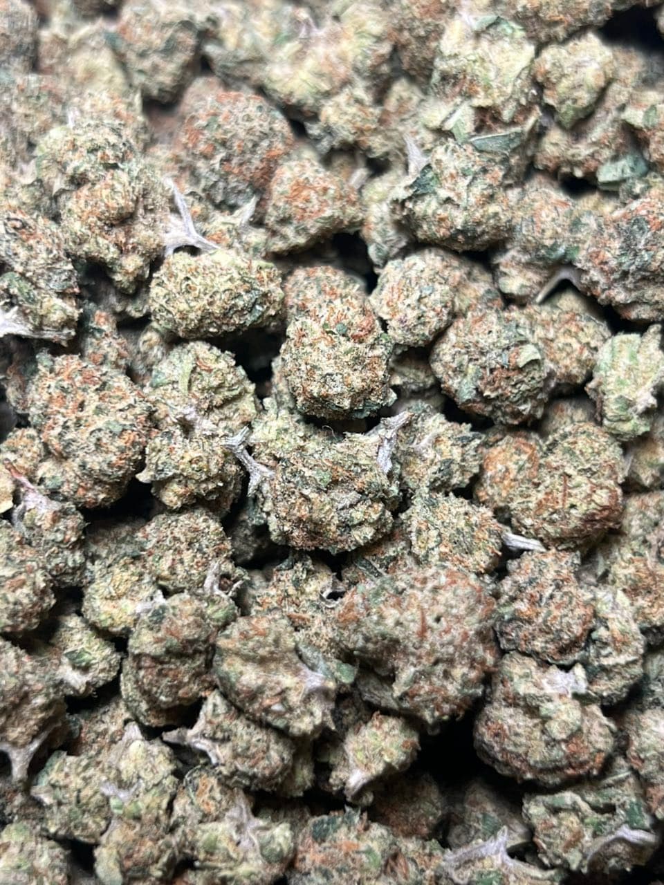 Lemon cherry  — gallery photo 2 of flower from Real Duck Distro
