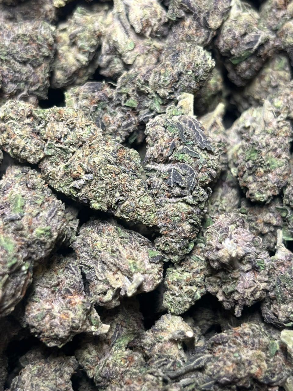 BLACK MAGIC MIXED LIGHTS  — gallery photo 2 of flower from Real Duck Distro