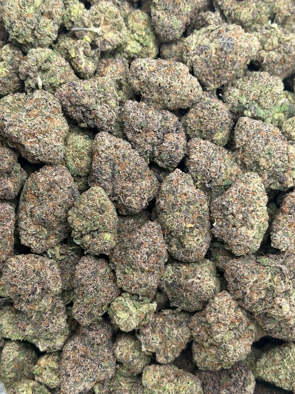 Candy clouds — gallery photo 2 of flower from Real Duck Distro