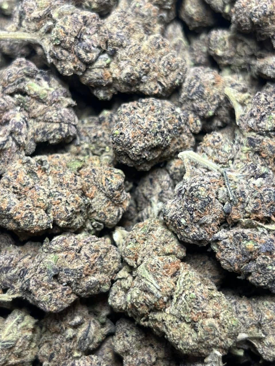 Candy burst — premium flower from Real Duck Distro Los Angeles, buy online with nationwide cannabis shipping