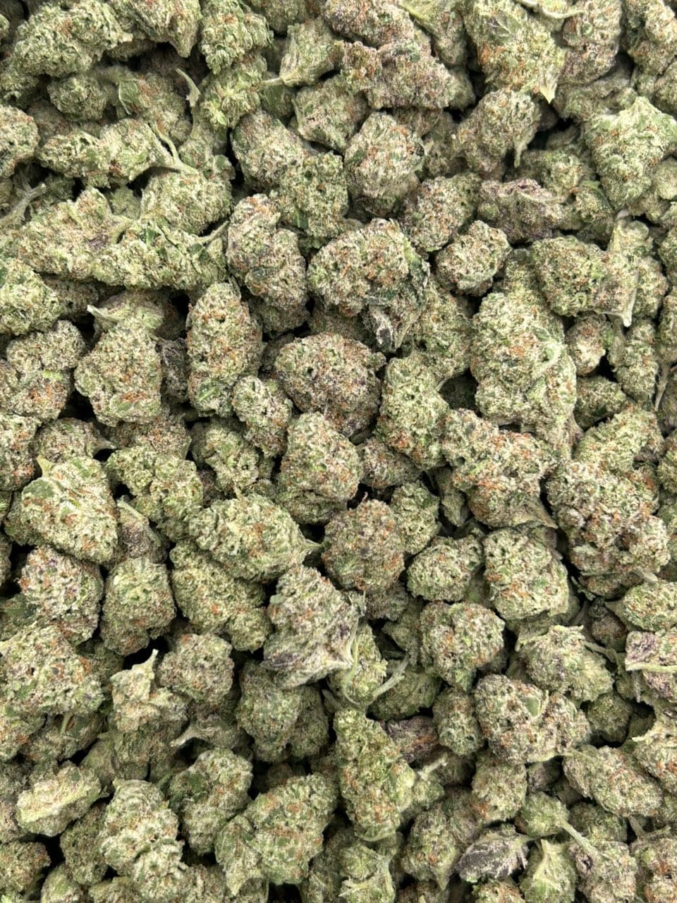 Wham Runtz — gallery photo 2 of flower from Real Duck Distro