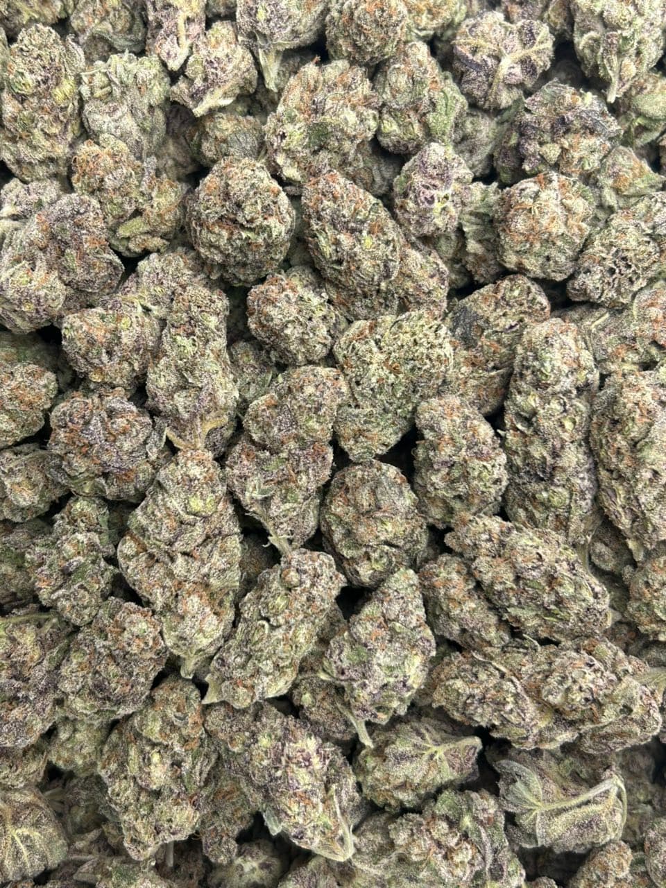 Berry blizzard  — gallery photo 2 of flower from Real Duck Distro