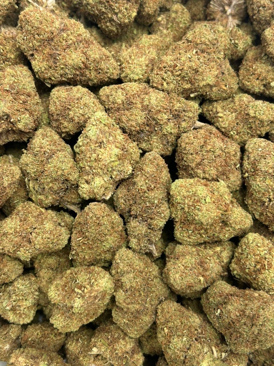Taffy peaches🍑  — gallery photo 2 of flower from Real Duck Distro