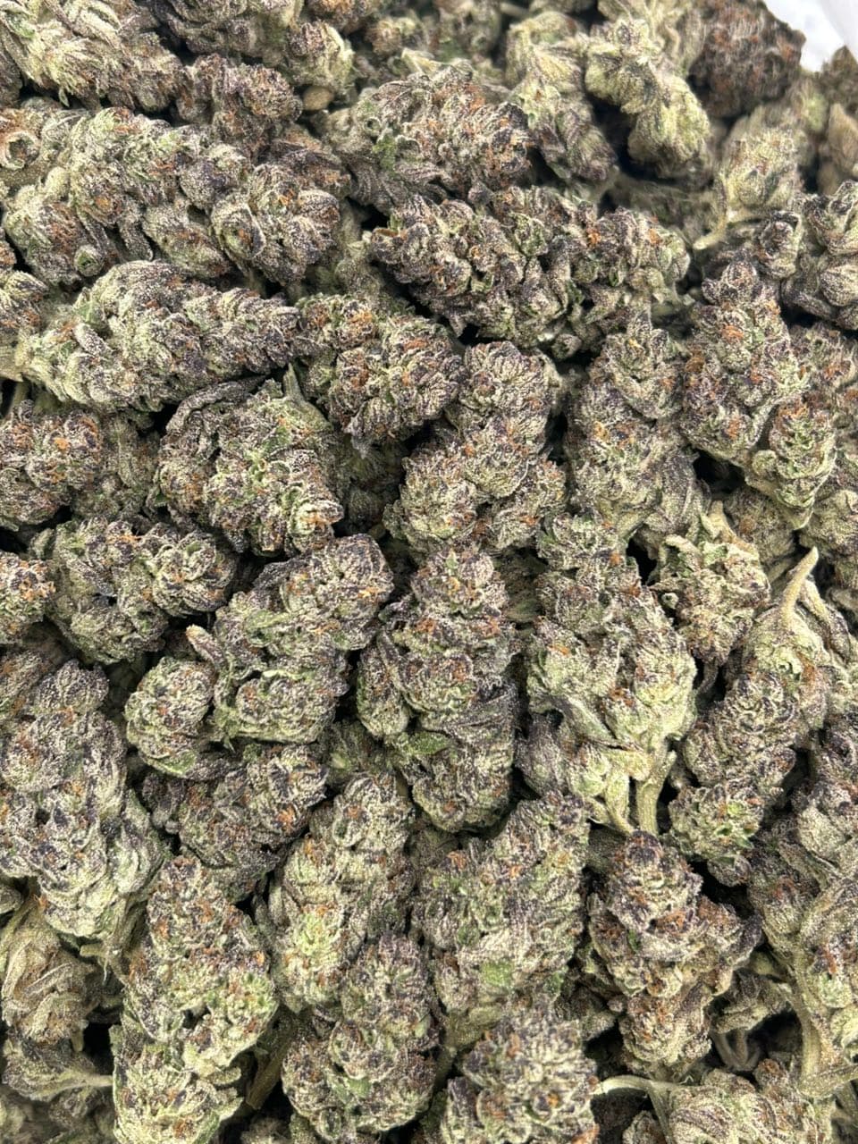 Frosted Grape Runtz — gallery photo 2 of flower from Real Duck Distro
