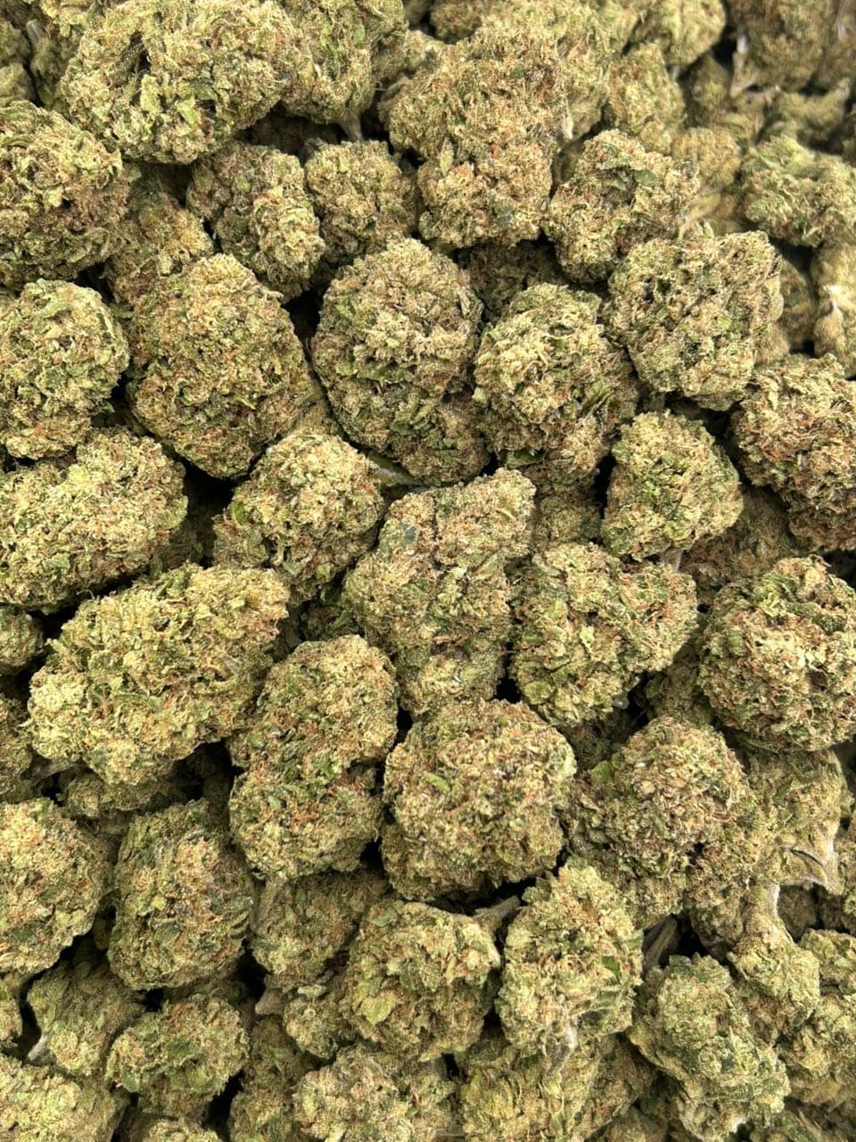 Candy Gelato 🍭  — gallery photo 2 of flower from Real Duck Distro