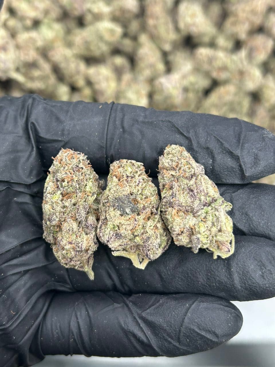 Berry blizzard  — premium flower from Real Duck Distro Los Angeles, buy online with nationwide cannabis shipping