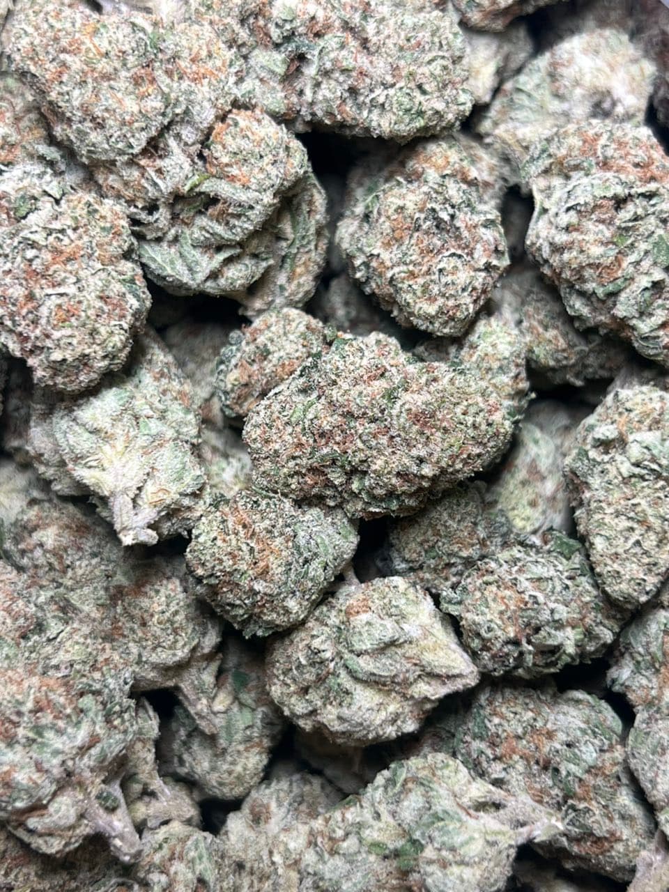 Sour mango — premium flower from Real Duck Distro Los Angeles, buy online with nationwide cannabis shipping