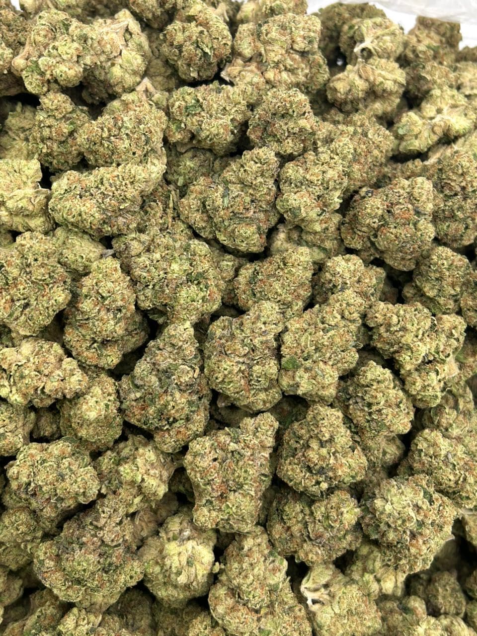 Blueberry muffins  — gallery photo 2 of flower from Real Duck Distro