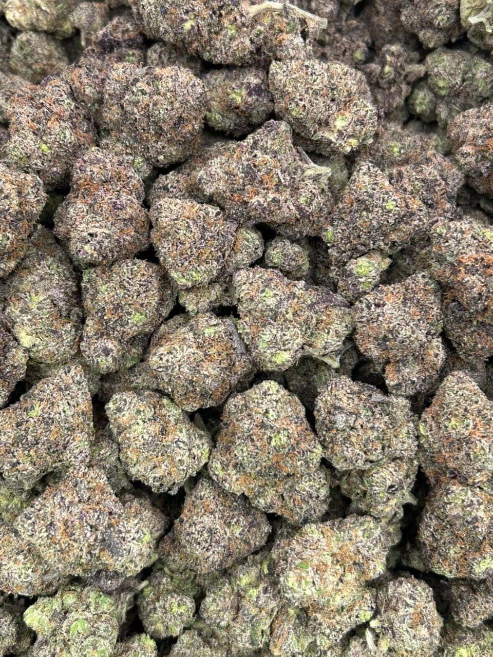 Blue Candy Zours 🍬  — gallery photo 2 of flower from Real Duck Distro