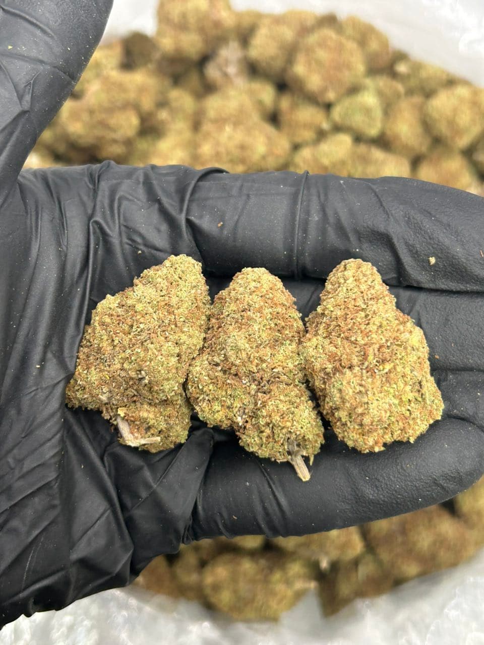 Taffy peaches🍑  — premium flower from Real Duck Distro Los Angeles, buy online with nationwide cannabis shipping