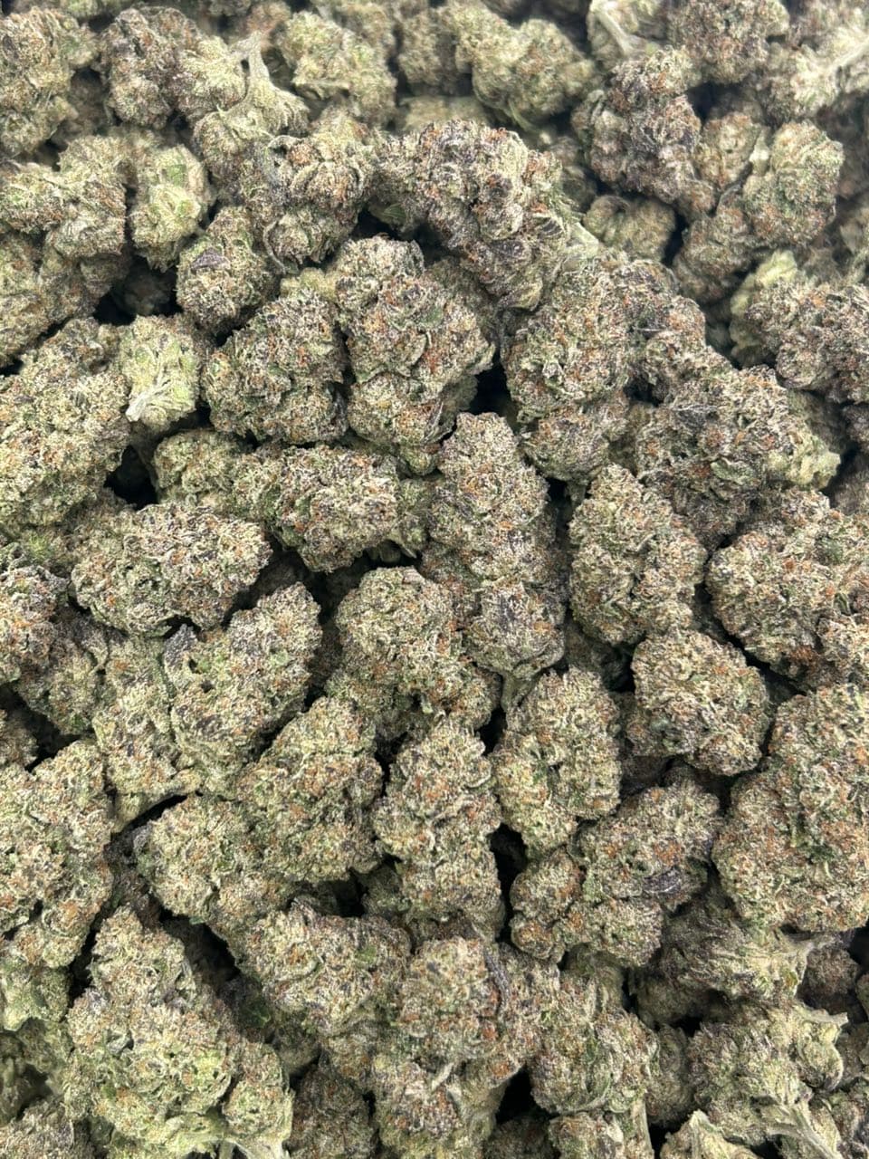 Sugar Sweets — gallery photo 2 of flower from Real Duck Distro