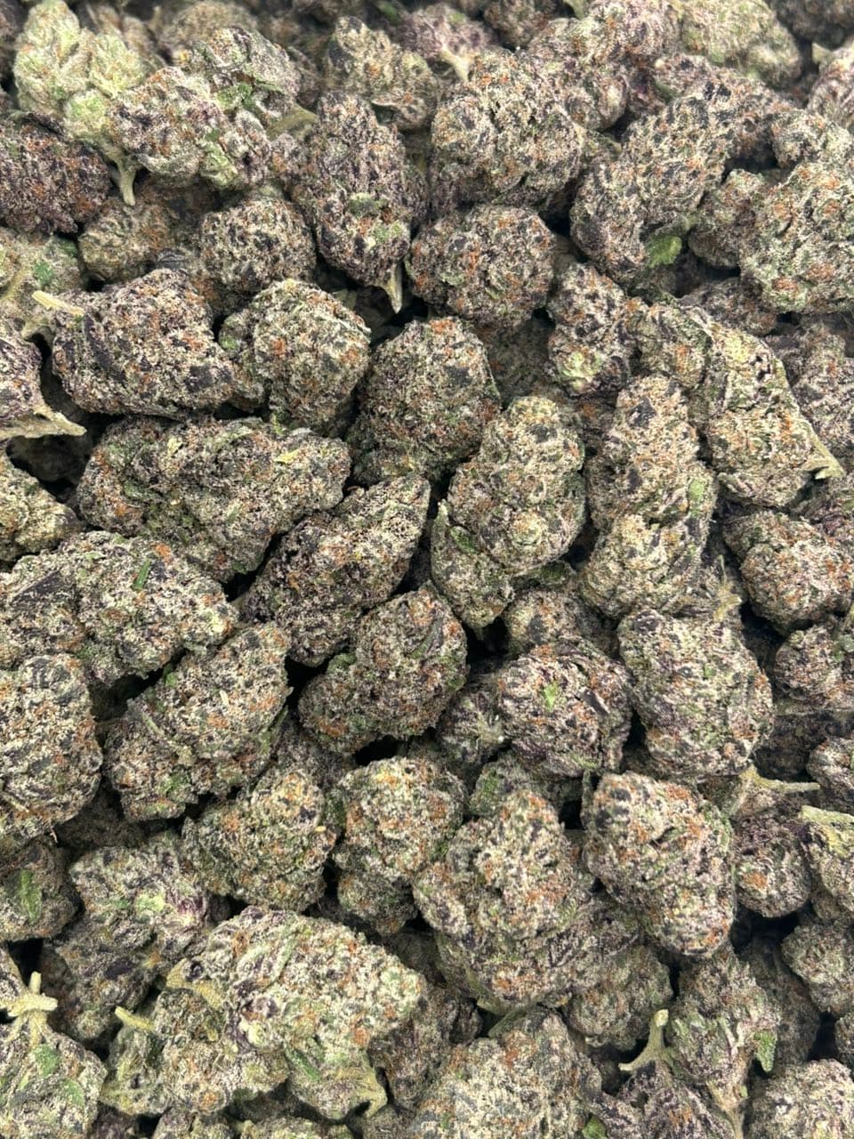 Purple Bombz 🍬 — gallery photo 2 of flower from Real Duck Distro