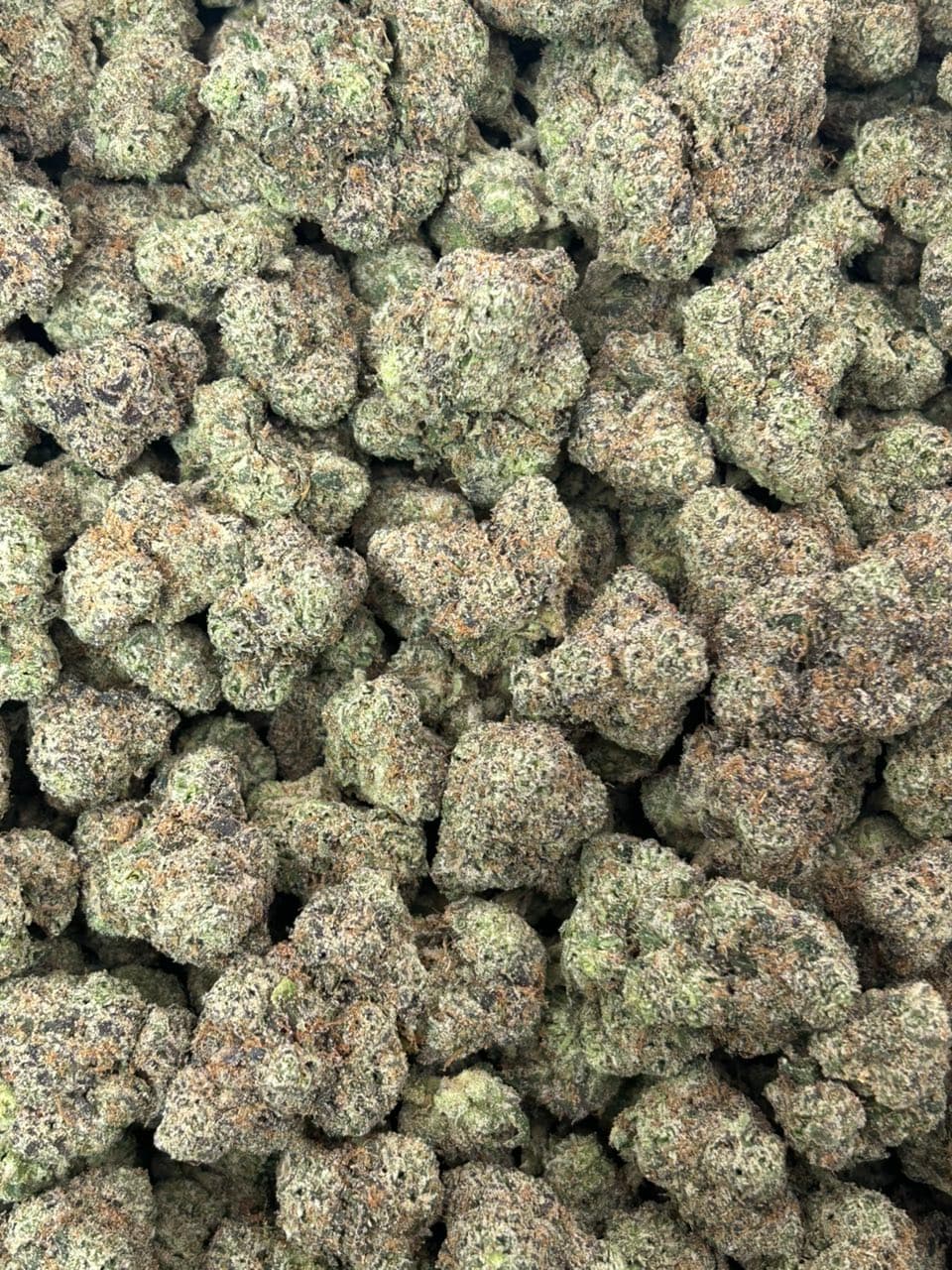 Angel Candy 🍬  — gallery photo 2 of flower from Real Duck Distro