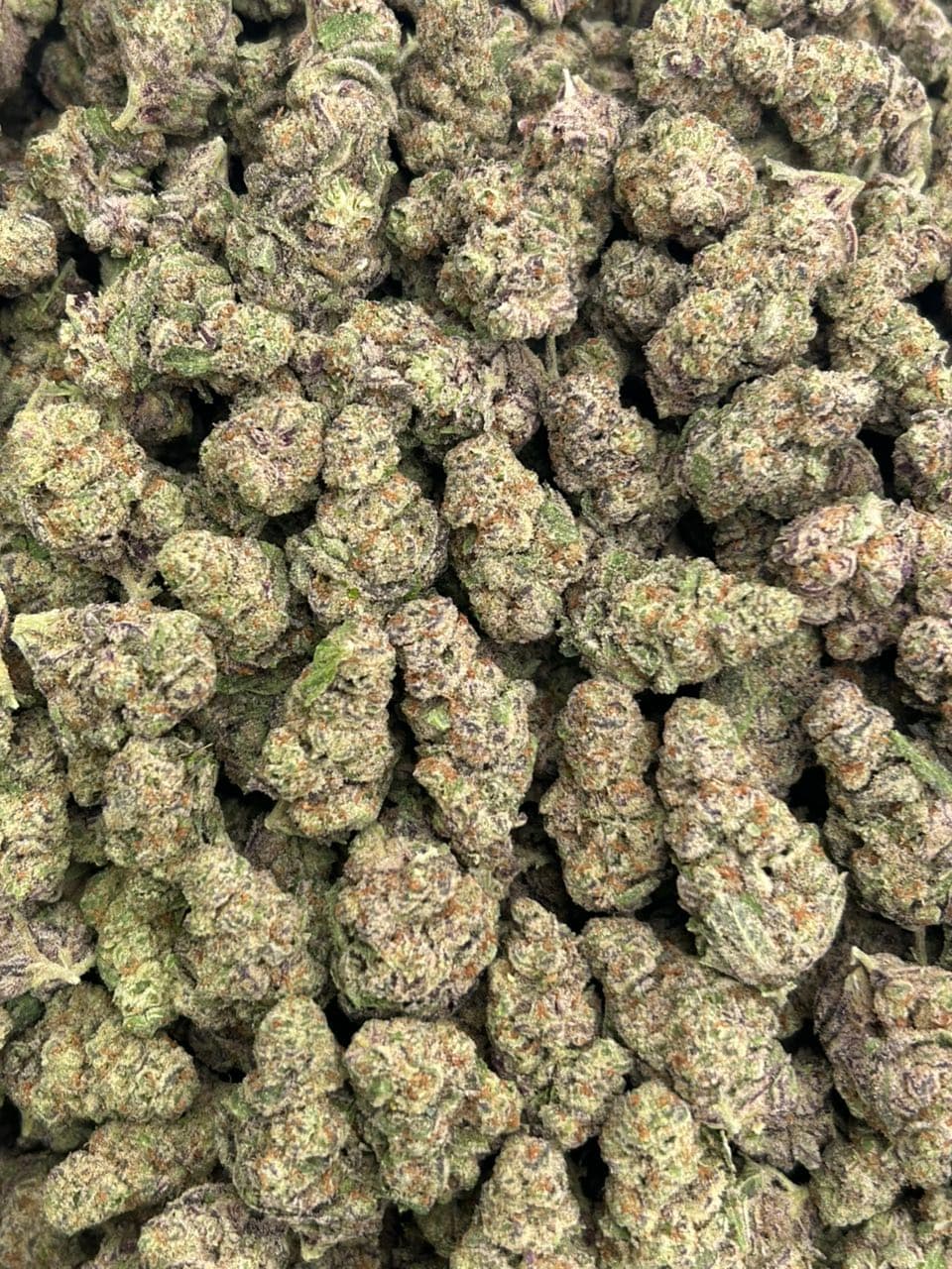 Tropical runtz — gallery photo 2 of flower from Real Duck Distro