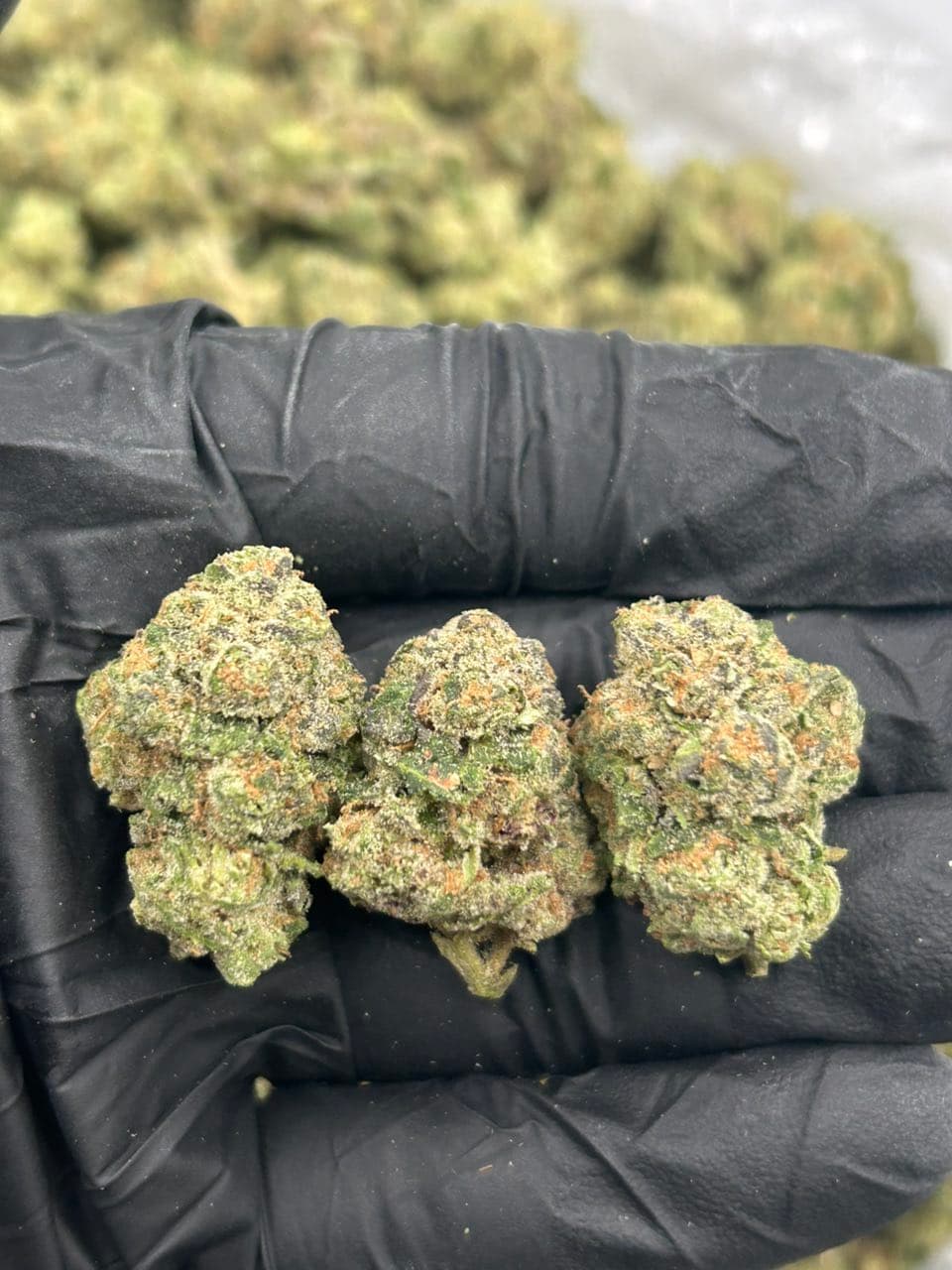 Pineapple Diesel  — premium flower from Real Duck Distro Los Angeles, buy online with nationwide cannabis shipping