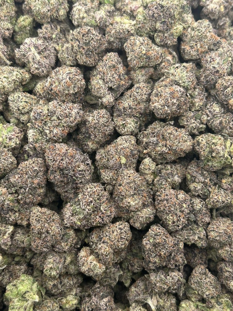 CRAZY RUNTS — gallery photo 2 of flower from Real Duck Distro