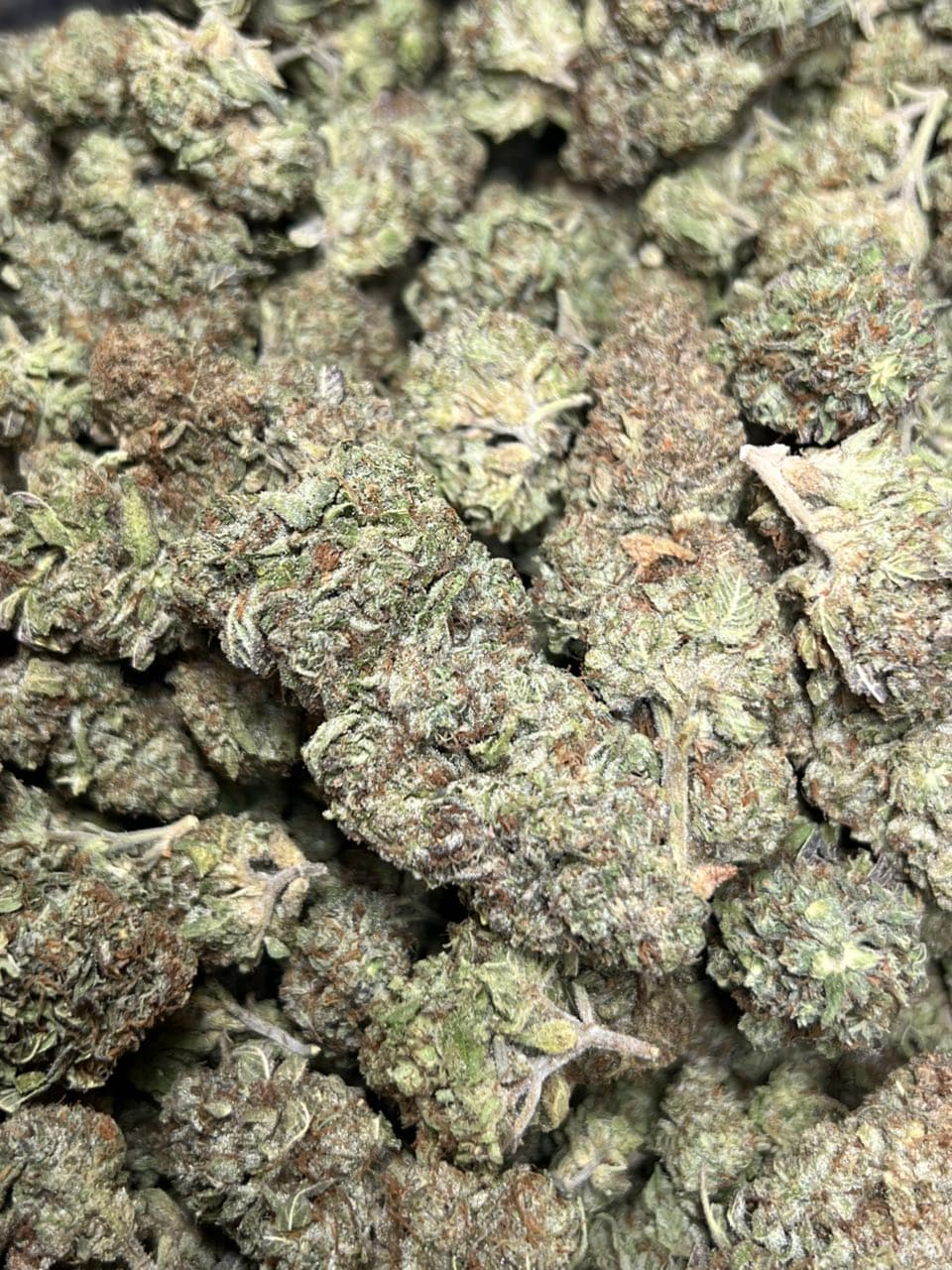 Jelly Cake Licensed Dep  Shipped 📦 — premium flower from Real Duck Distro Los Angeles, buy online with nationwide cannabis shipping
