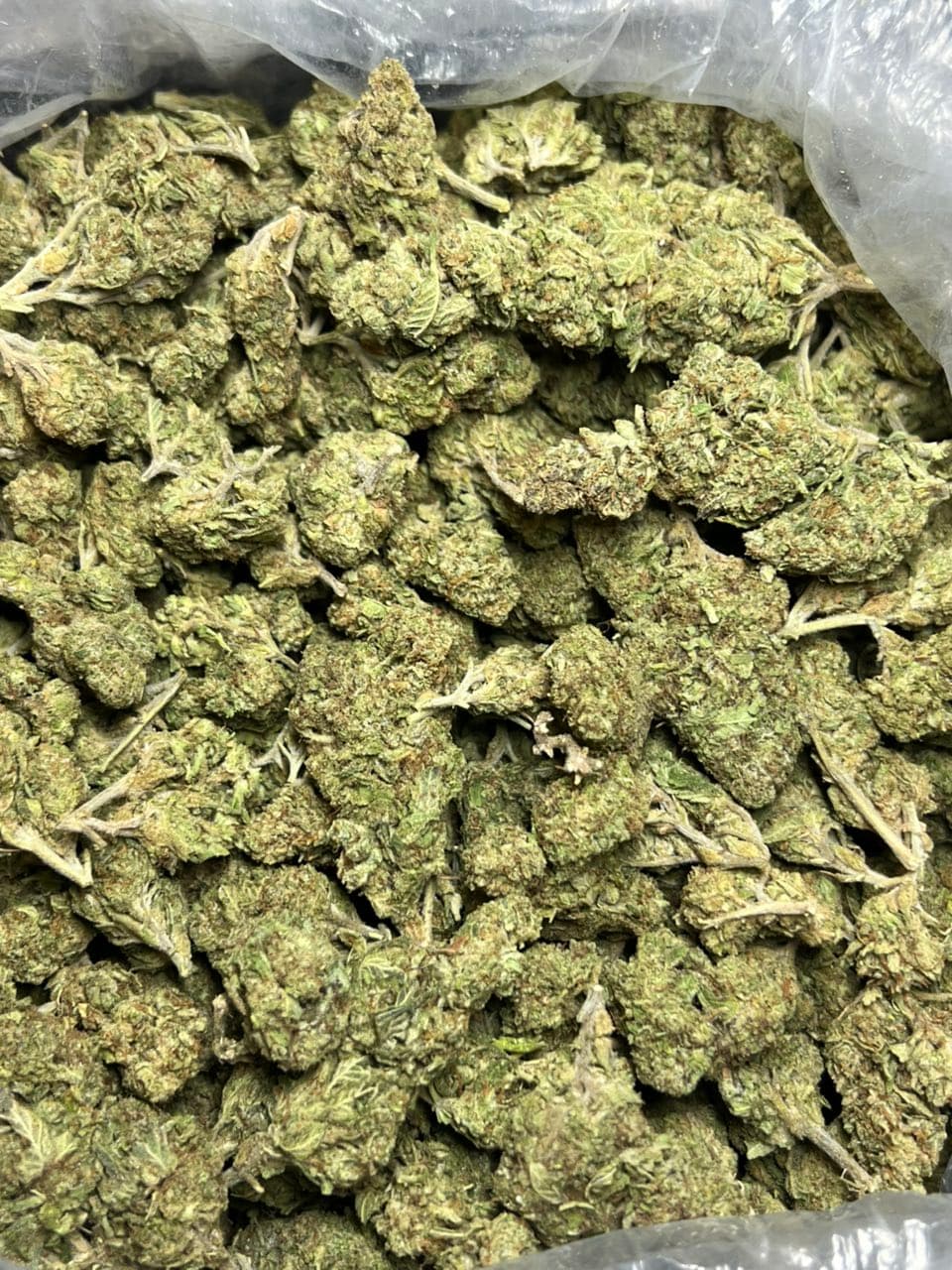 LCG Licensed Dep  Shipped 📦 — premium flower from Real Duck Distro Los Angeles, buy online with nationwide cannabis shipping