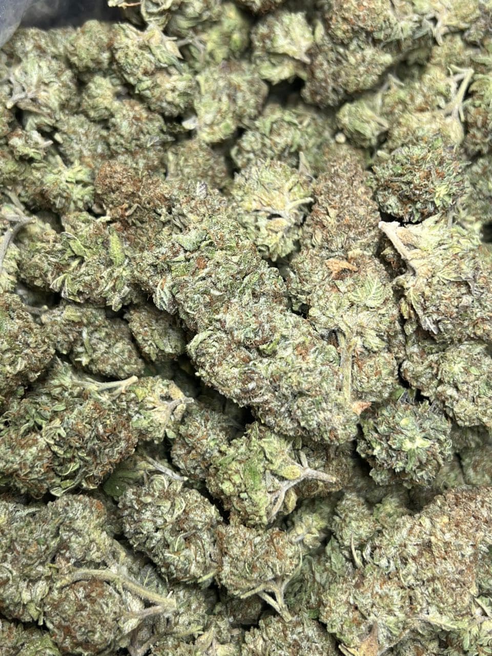 Jelly Cake Licensed Dep  Shipped 📦 — gallery photo 2 of flower from Real Duck Distro