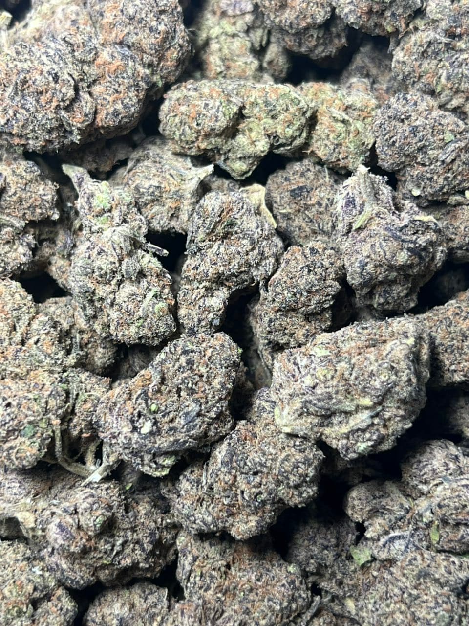 London Runtz Licensed Indoor — gallery photo 2 of flower from Real Duck Distro
