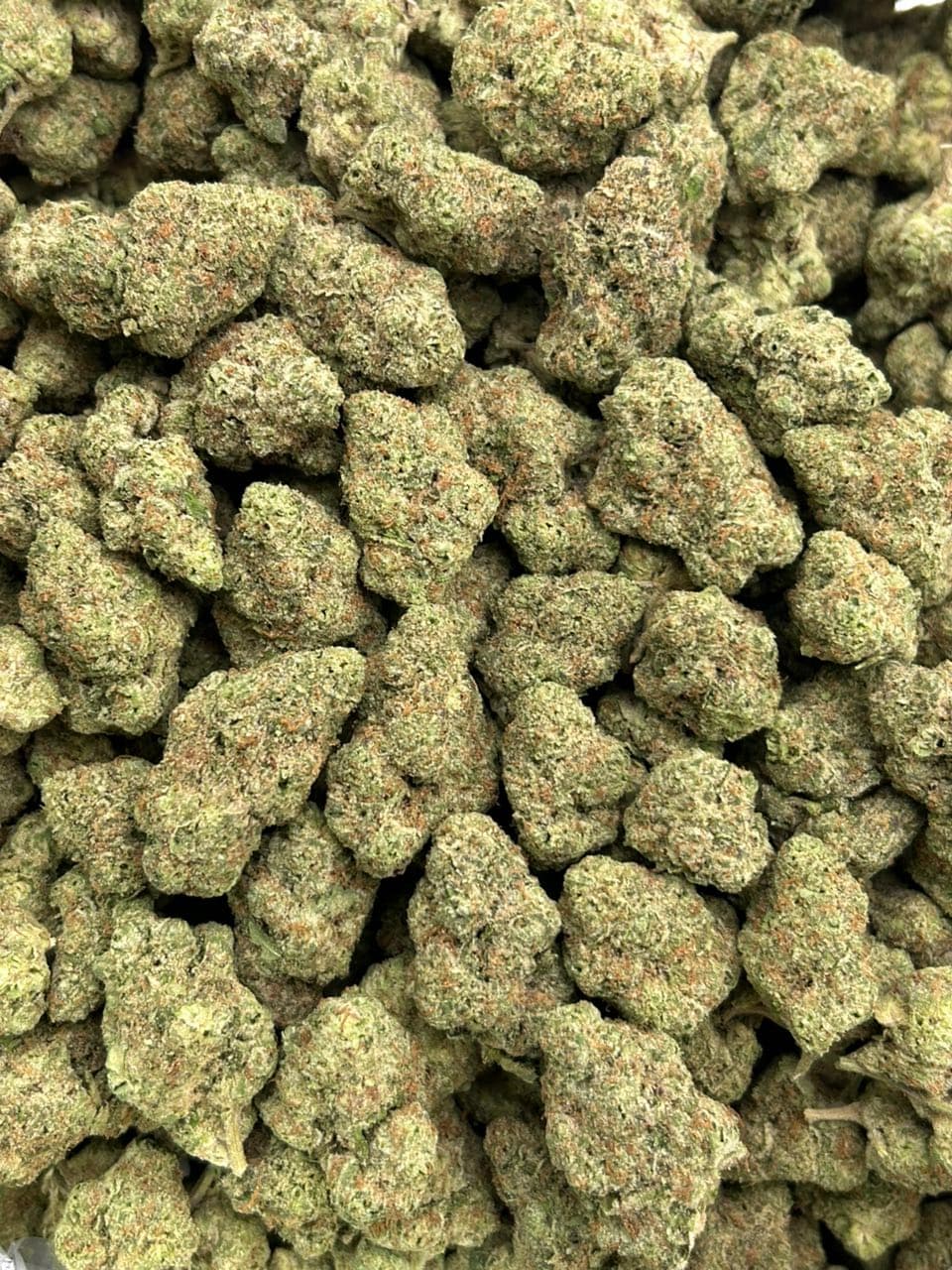 Guava Slushy — gallery photo 2 of flower from Real Duck Distro