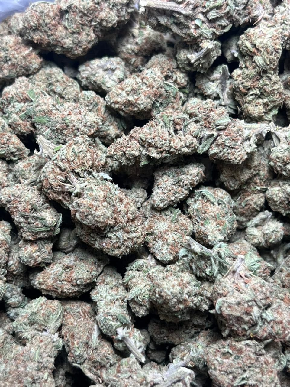 Papaya Licensed Dep  — premium flower from Real Duck Distro Los Angeles, buy online with nationwide cannabis shipping