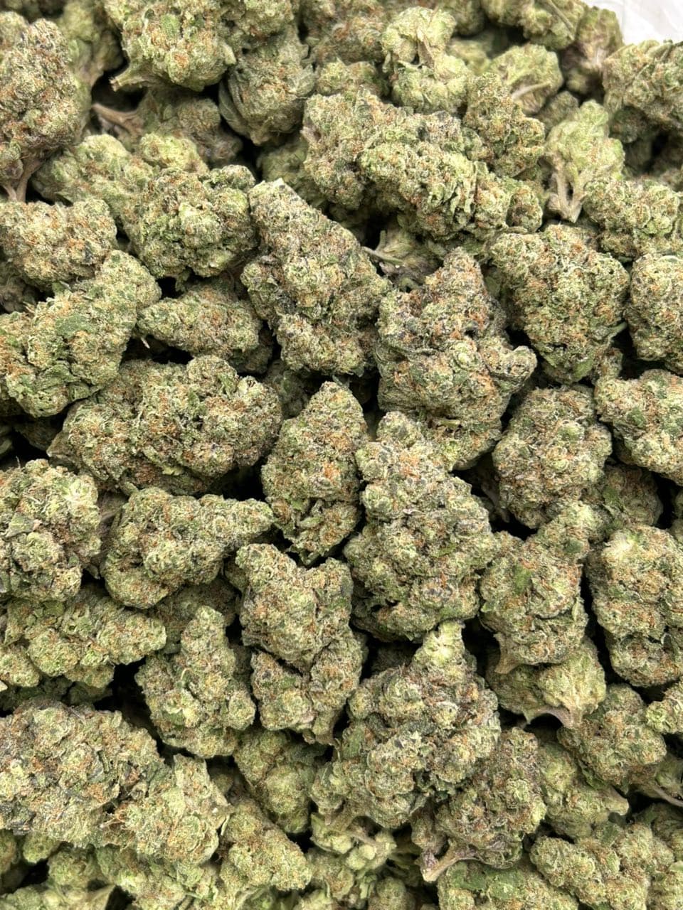Lemon GMO — gallery photo 2 of flower from Real Duck Distro