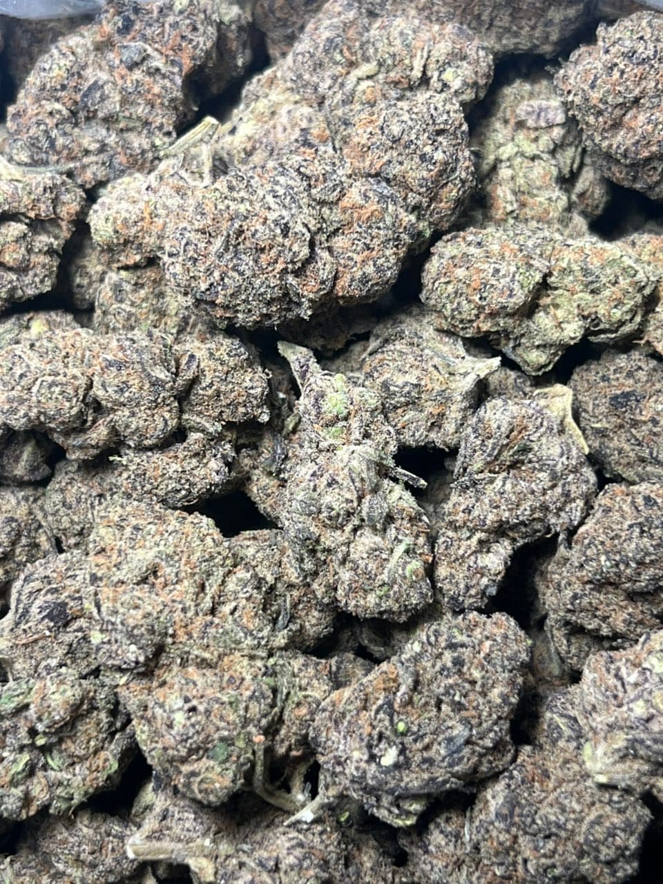 London Runtz Licensed Indoor — premium flower from Real Duck Distro Los Angeles, buy online with nationwide cannabis shipping