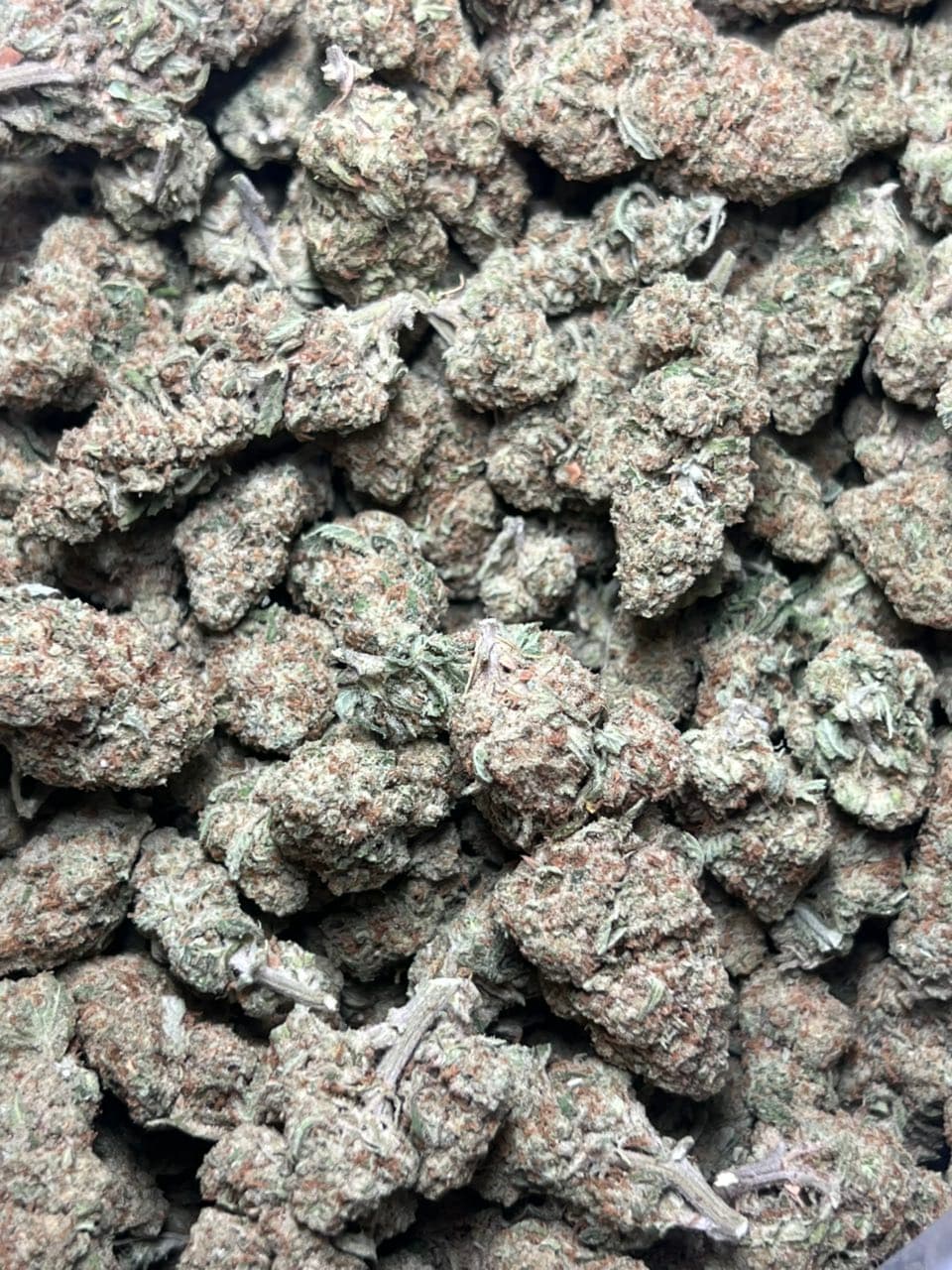 Papaya Licensed Dep  — gallery photo 2 of flower from Real Duck Distro