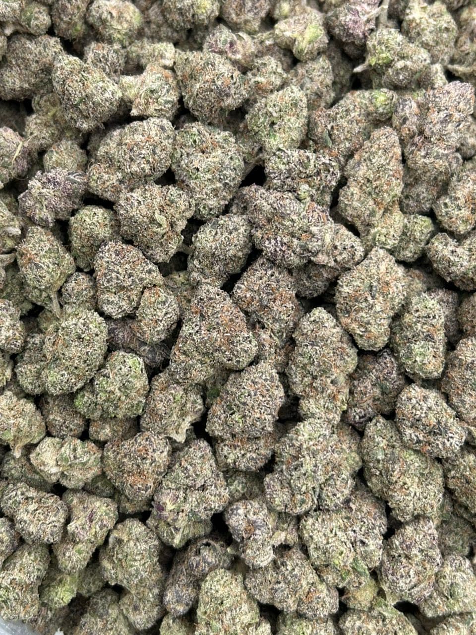 GIA CANDY 🍭  — gallery photo 2 of flower from Real Duck Distro