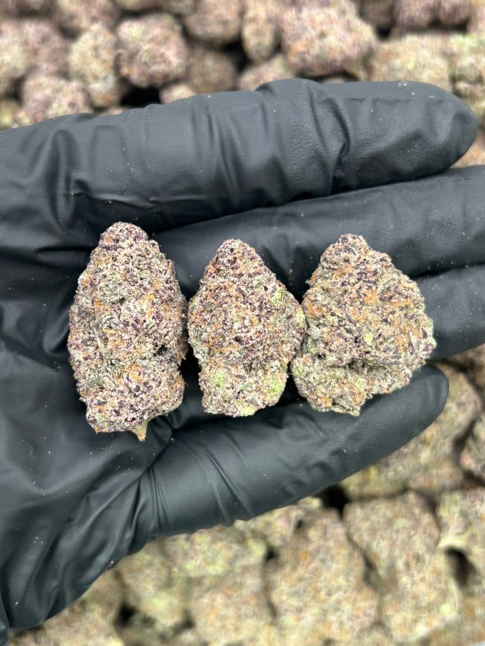 CureLato Gummy 🍬  — premium flower from Real Duck Distro Los Angeles, buy online with nationwide cannabis shipping