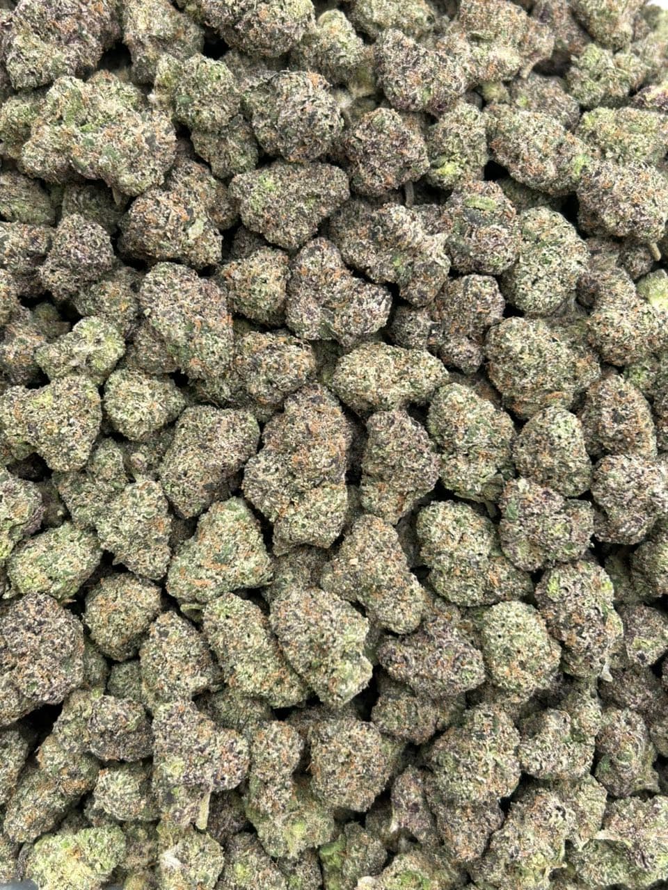 Black Cherry Drip 🍭  — gallery photo 2 of flower from Real Duck Distro