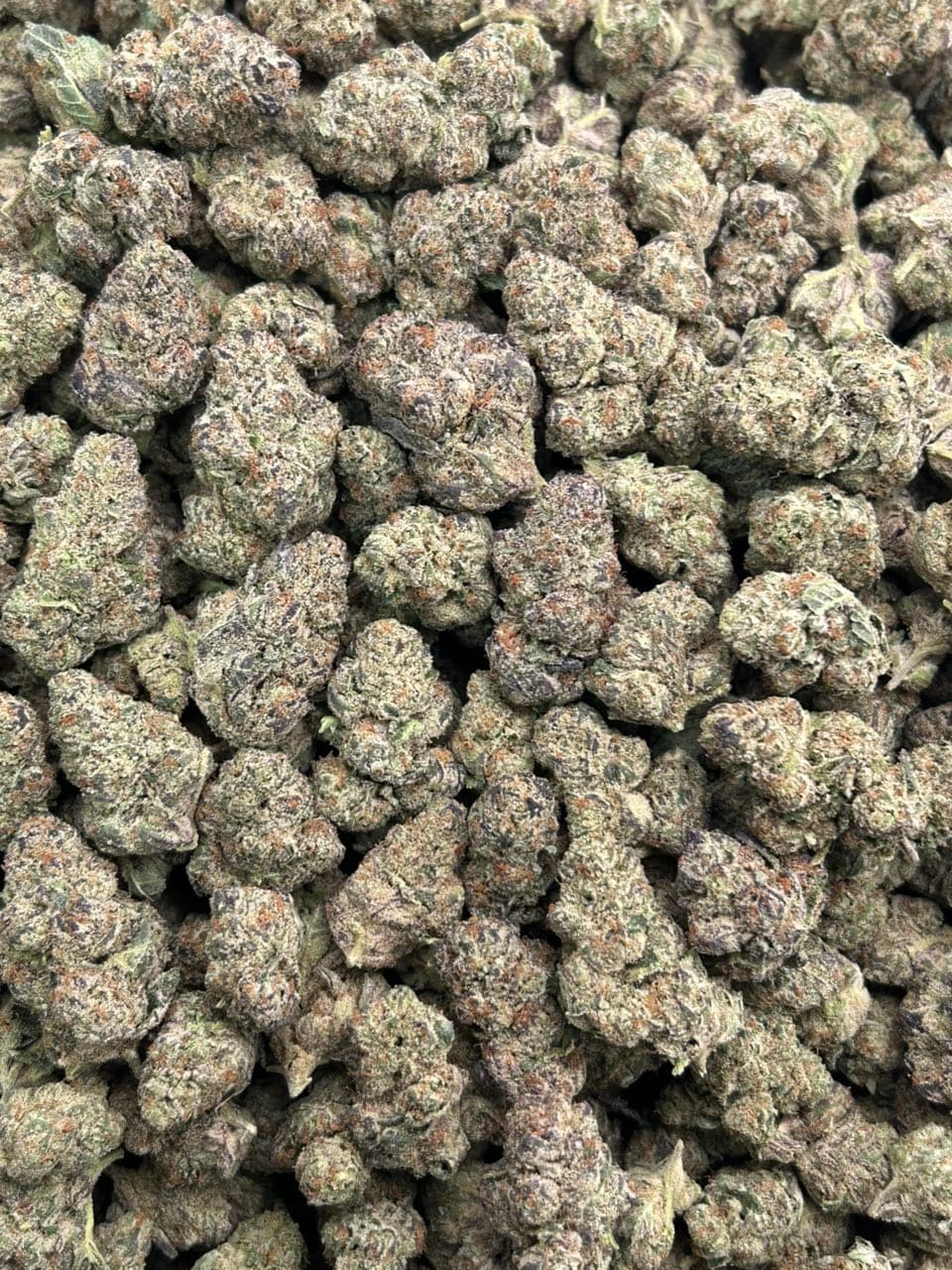 Grape Dank — gallery photo 2 of flower from Real Duck Distro