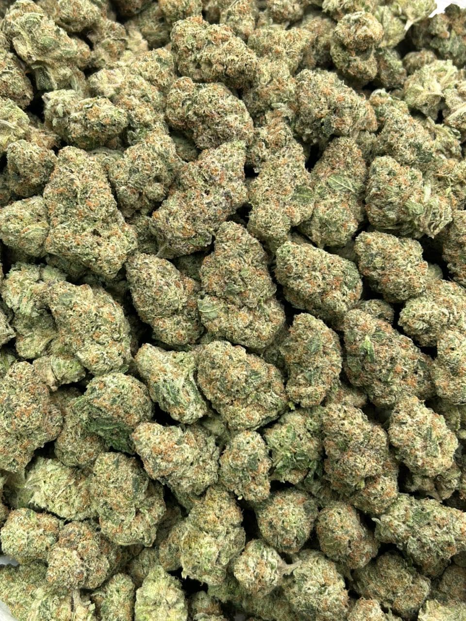 Lemon popz — gallery photo 2 of flower from Real Duck Distro