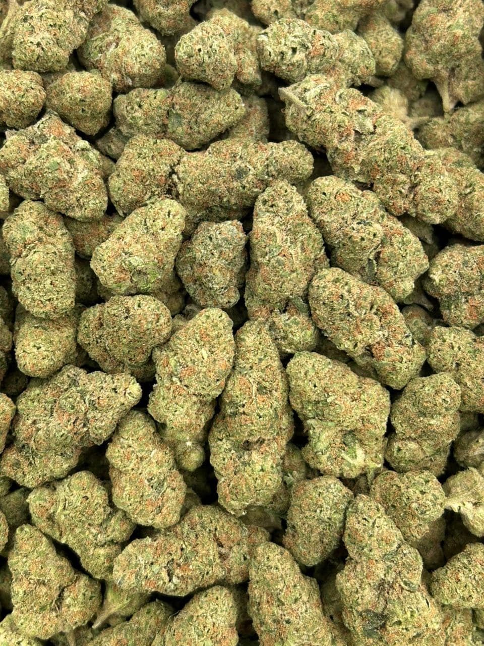 Pop Roxerz — gallery photo 2 of flower from Real Duck Distro