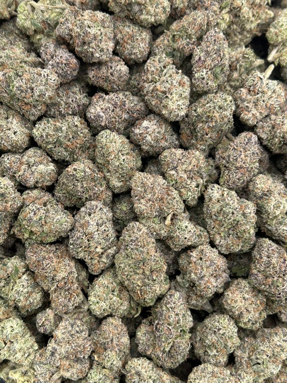 Emerald Candy 🍬 — gallery photo 2 of flower from Real Duck Distro