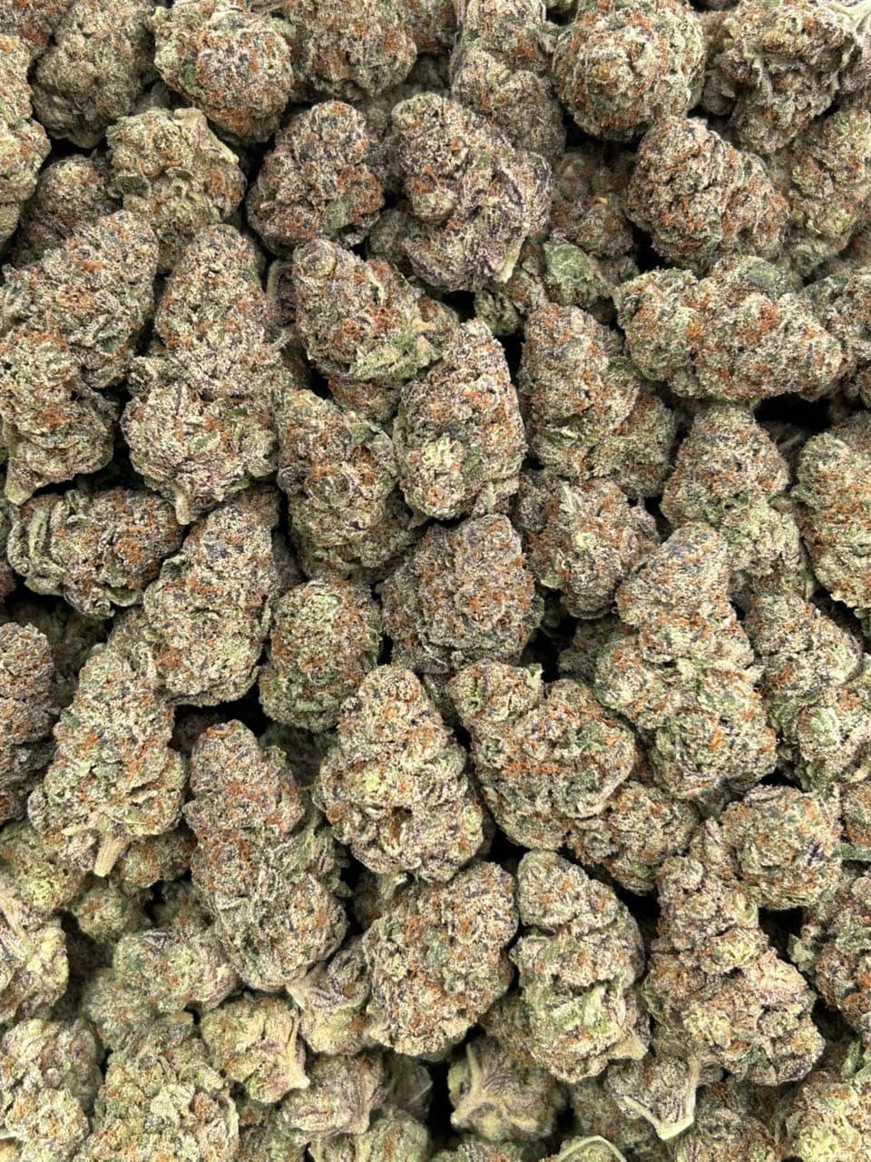 Purple Jealousy — gallery photo 2 of flower from Real Duck Distro