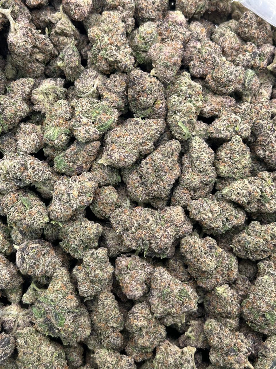 Pink Koolaid — gallery photo 2 of flower from Real Duck Distro