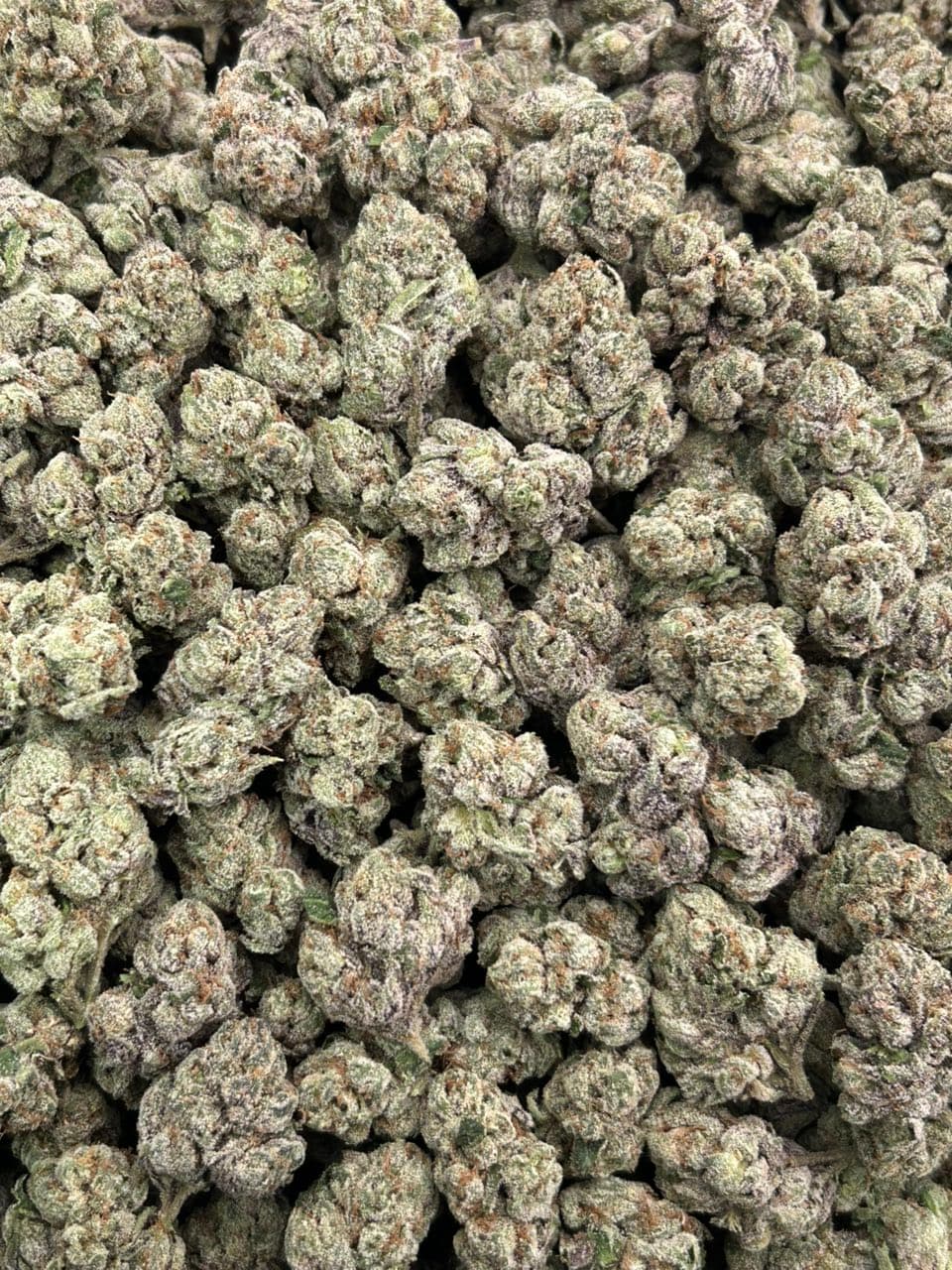Cotton Candy Runtz 🍬🍬  — gallery photo 2 of flower from Real Duck Distro