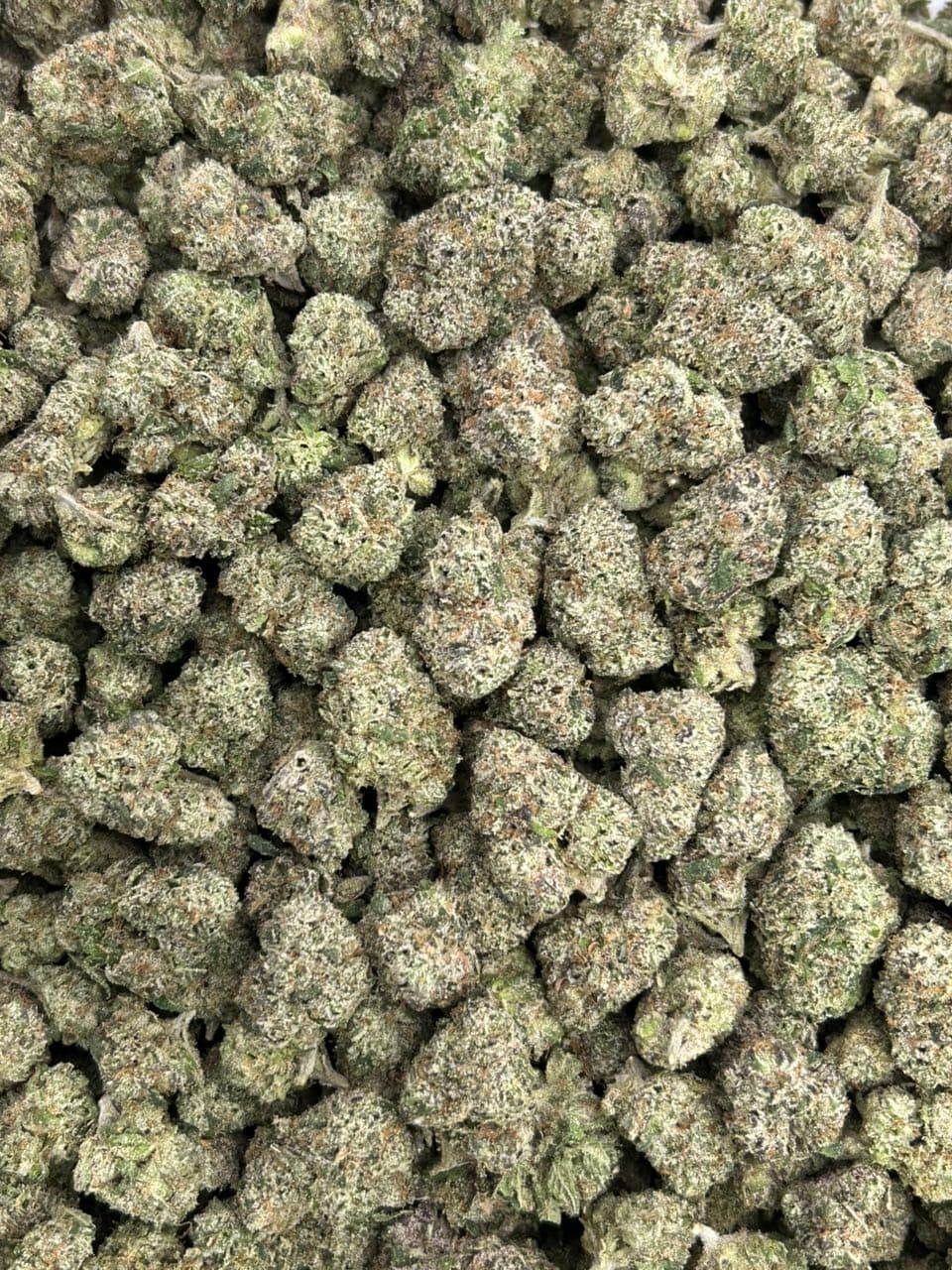 Watermelon FunDip 🍭  — gallery photo 2 of flower from Real Duck Distro