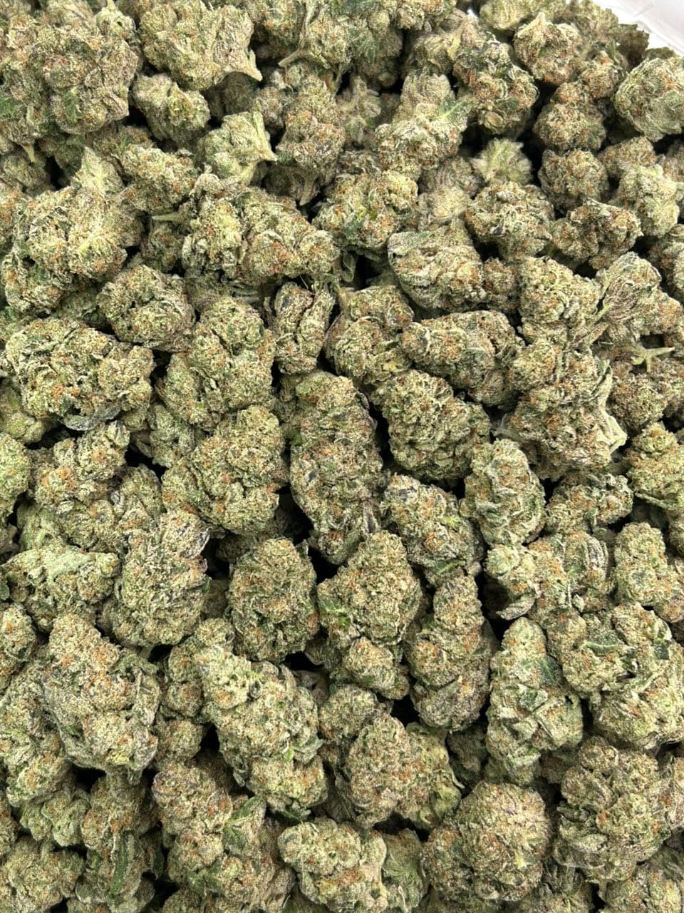 Frozen Berries — gallery photo 2 of flower from Real Duck Distro
