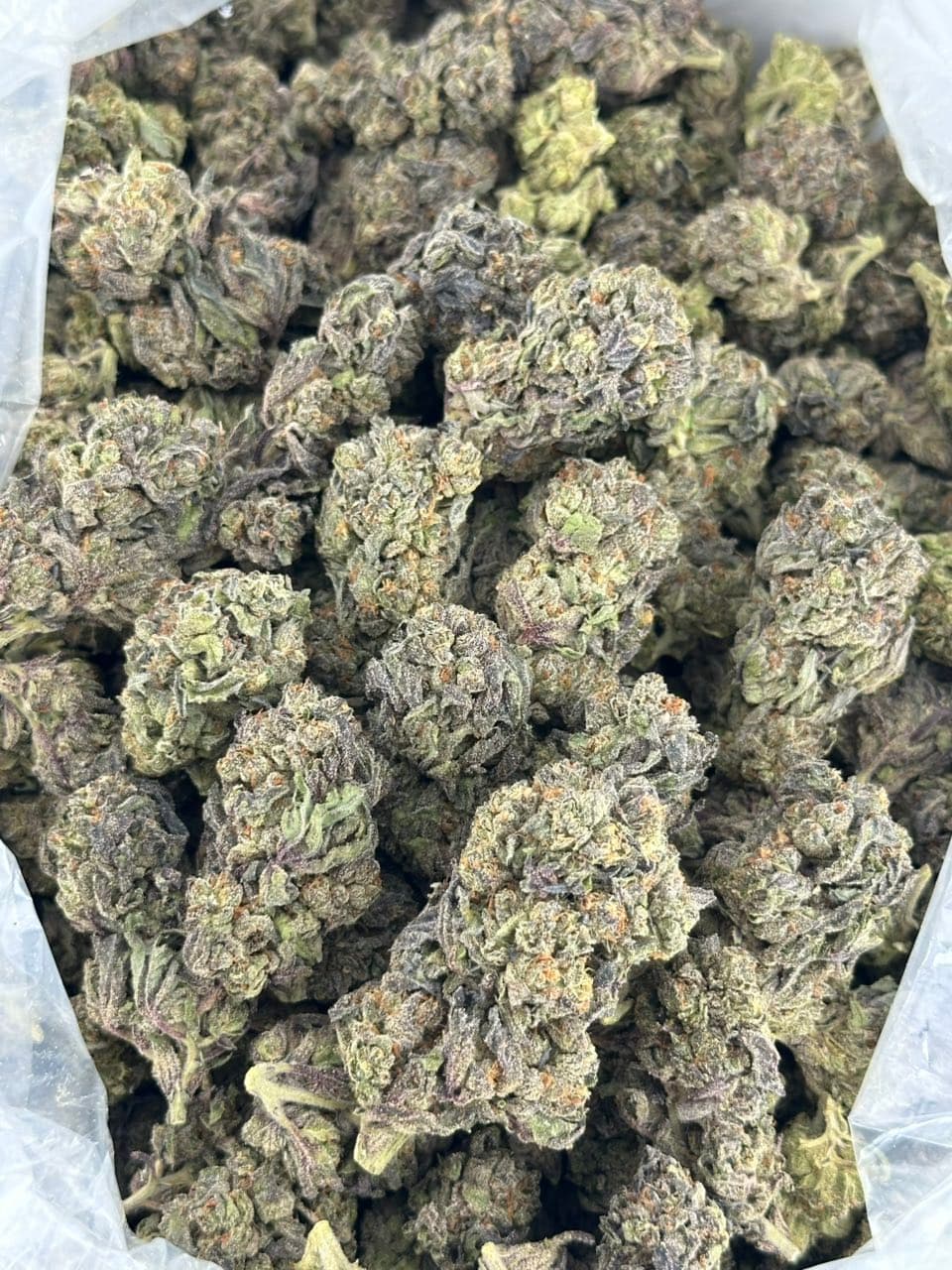 Acai Gelato  — premium flower from Real Duck Distro Los Angeles, buy online with nationwide cannabis shipping