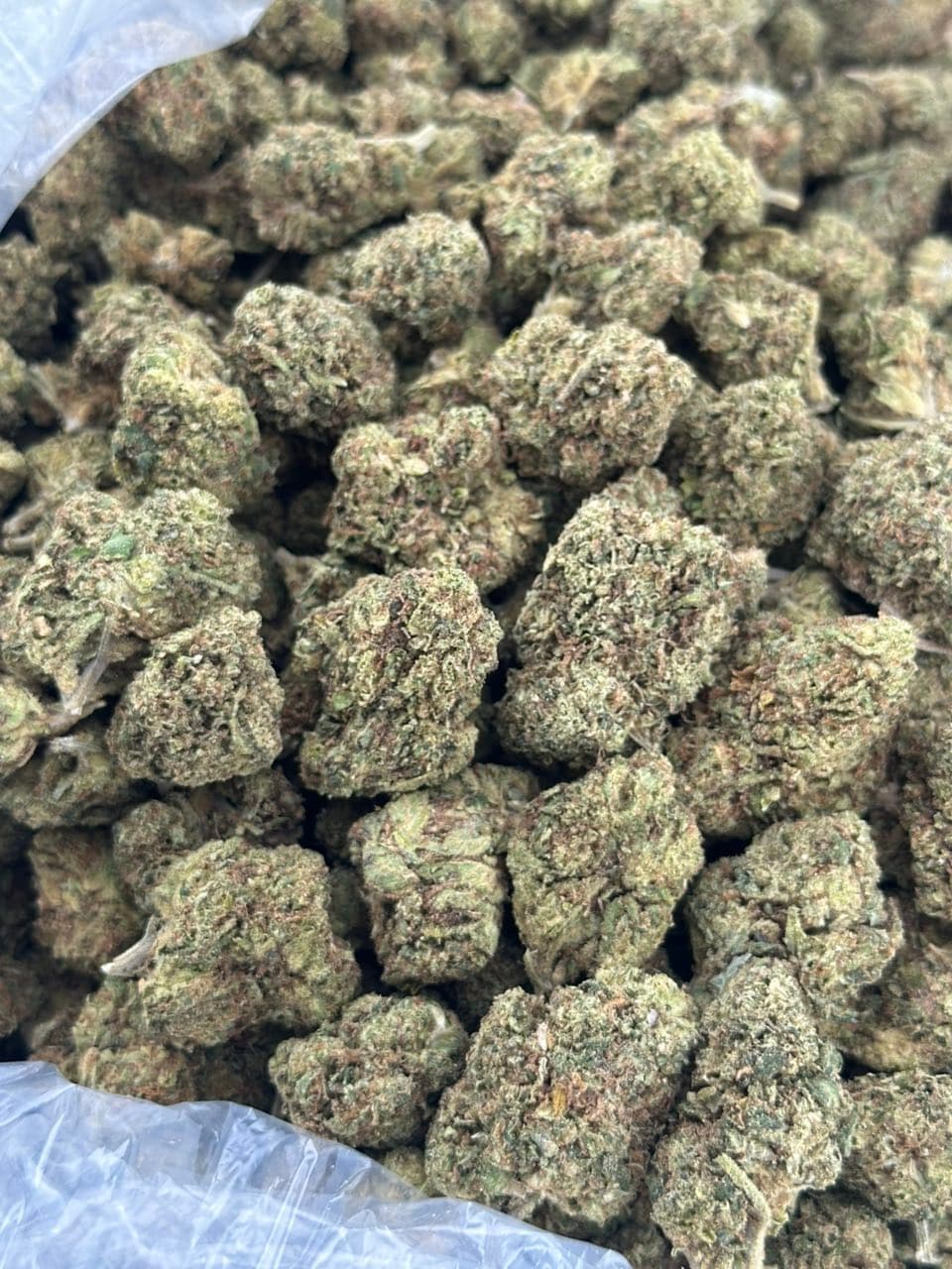 Kush Berry — gallery photo 2 of flower from Real Duck Distro