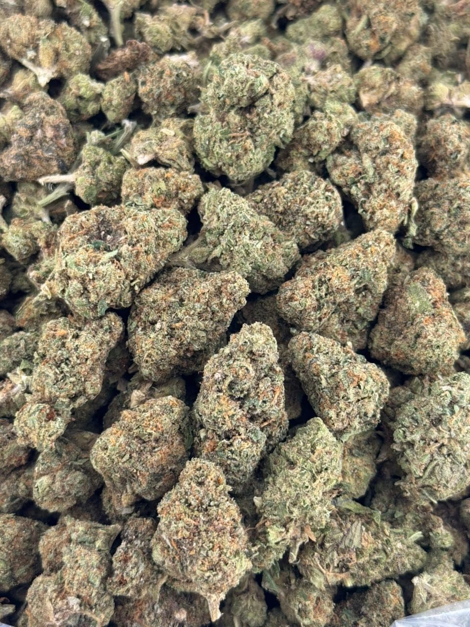 Honey Butter — gallery photo 2 of flower from Real Duck Distro